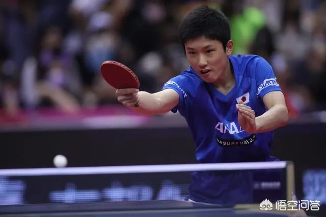 男乒世界杯1/4决赛，张本智和1比4不敌德国老将波尔，怎么评价本场比赛？