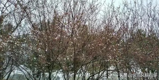 在这个三八妇女节，你对心中的女神最想说什么话？