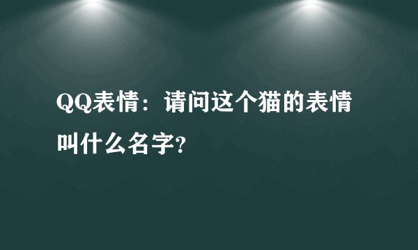 QQ表情：请问这个猫的表情叫什么名字？