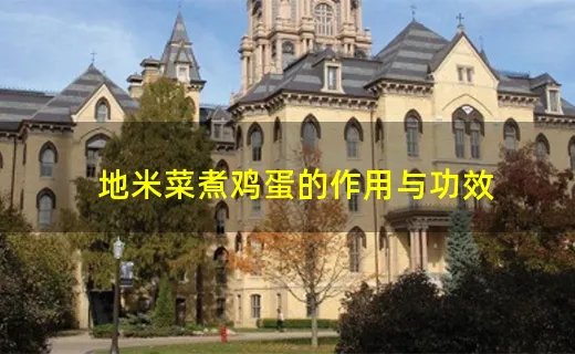 地米菜煮鸡蛋的作用与功效