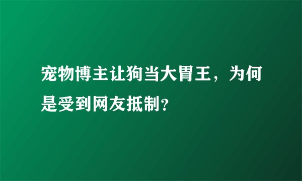 宠物博主让狗当大胃王，为何是受到网友抵制？
