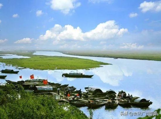 中国共有哪些著名的湿地公园？