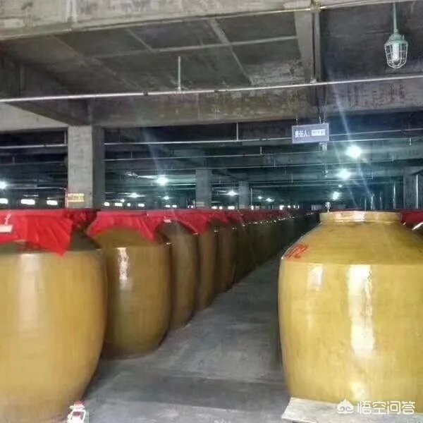 五粮液和茅台最大的区别是什么？