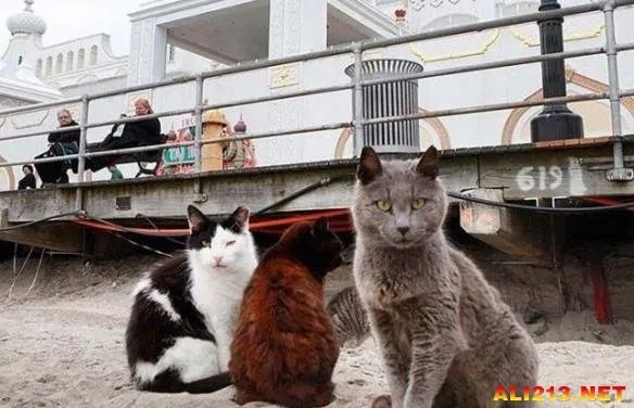 鬼屋里真有死人？美国迪士尼乐园不为人知的10个秘密