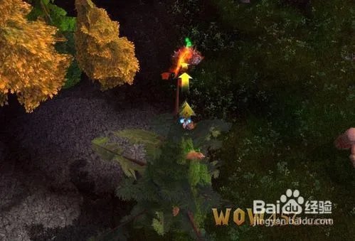 温柔的动物有福了，因为它们必承受卡利姆多攻略