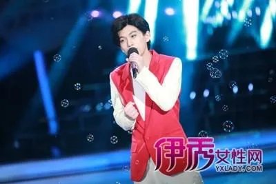 武艺2012北美歌友会的发布会