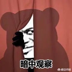 你手机中最舍不得卸载的APP是什么？