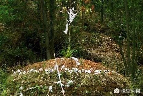 清明上坟的最佳时间是几点？有哪些禁忌和要求？