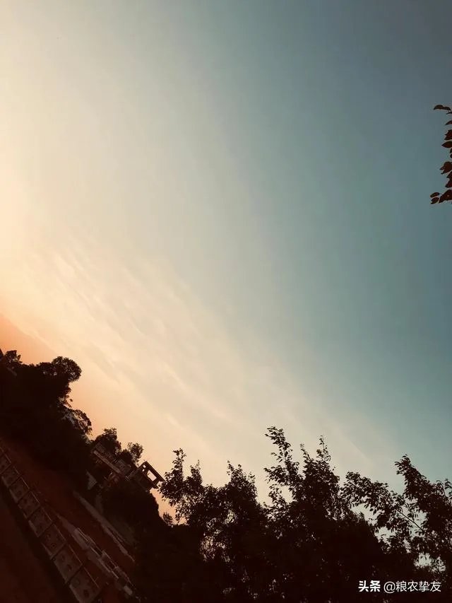 如何看待喜欢通过社交软件交友的人？