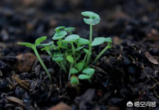 好人为什么受到冤枉