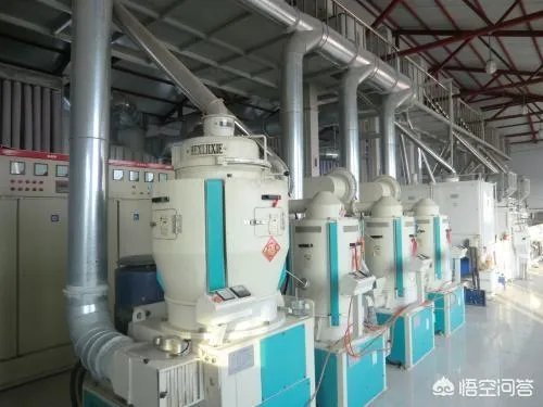 现在开个大米加工厂还有前景吗？