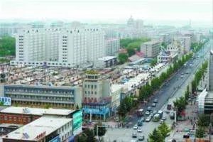 锦州齐三磊资料