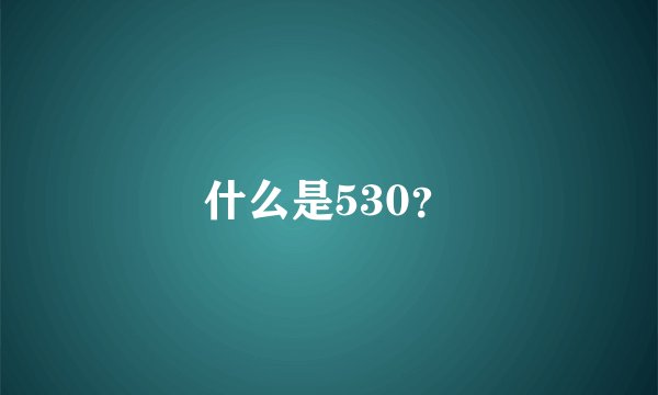 什么是530？