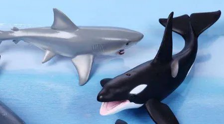 世界上最大的哺乳动物是什么？