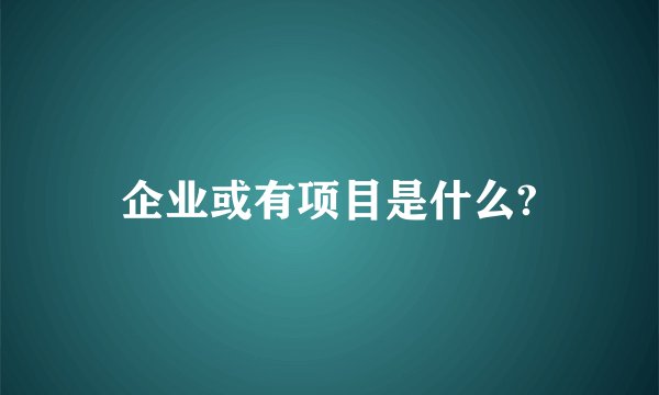企业或有项目是什么?