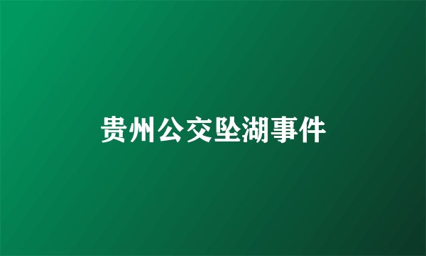 贵州公交坠湖事件