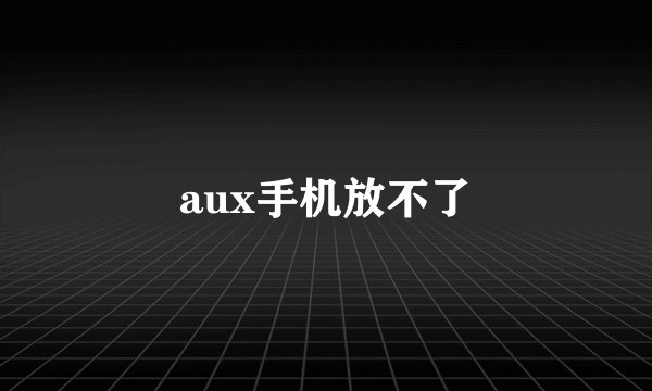 aux手机放不了