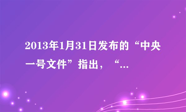 2013年1月31日发布的“中央一号文件”指出，“三农”问题是当前党和国家工作的重中之重，“重中之重”是