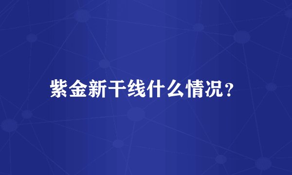 紫金新干线什么情况？