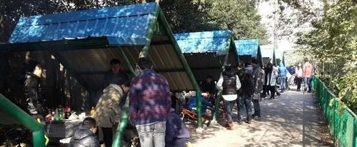 共青森林公园烧烤最全攻略