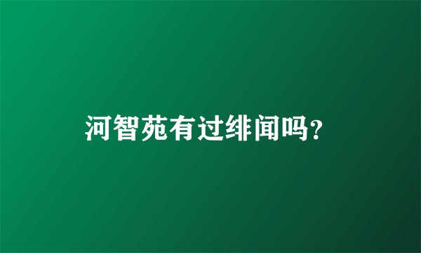 河智苑有过绯闻吗？