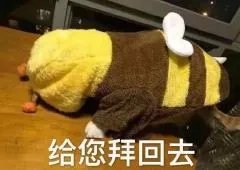 拜年给您拜回去表情包