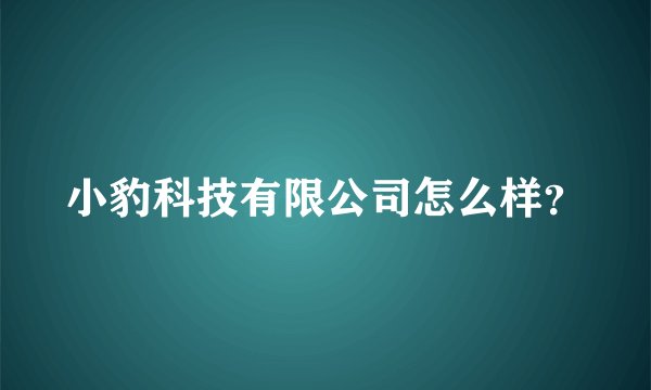 小豹科技有限公司怎么样？