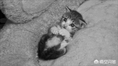 鬼故事有什么社会价值，为什么那么多人爱看？