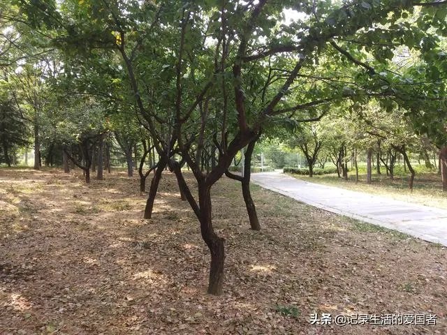 边旅行边赚钱的办法可行吗?