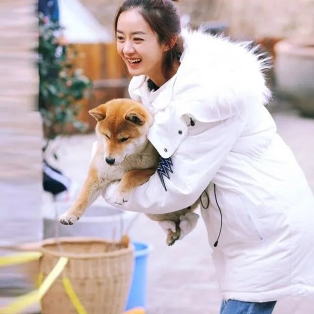 粉丝们你跟赵丽颖撞过衫吗？