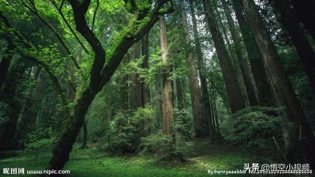 如何评价《盗墓笔记》的先导集？