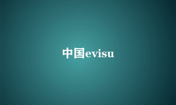 中国evisu
