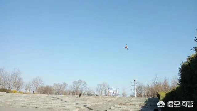 在婆家地位是自己争取的还是别人给的？