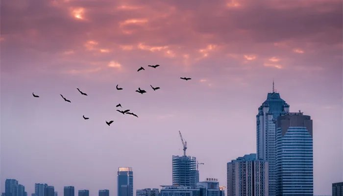 法拍房可以贷款买吗 法拍房可以按揭贷款吗