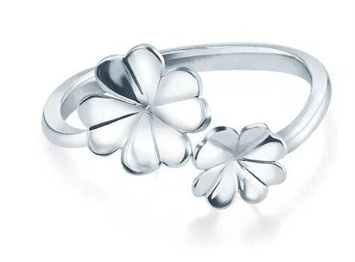 一个铂金戒指大概多少钱 结婚买铂金戒指多少钱合适