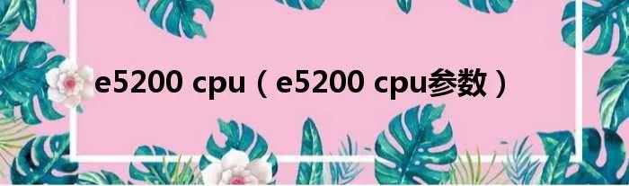 e5200 cpu（e5200 cpu参数）