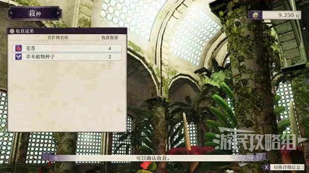 《火焰纹章风花雪月》图文攻略 全章节剧情攻略