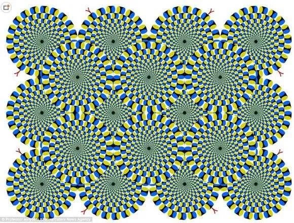 有哪些图片会逼死强迫症？