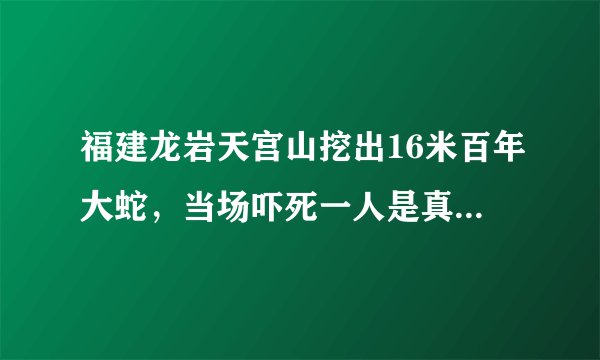 福建龙岩天宫山挖出16米百年大蛇，当场吓死一人是真的还是假的？