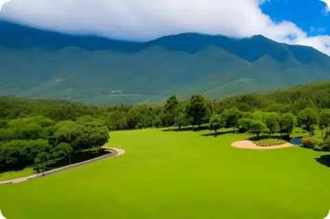 香烟一箱多少条