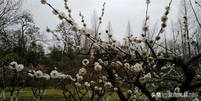 在这个三八妇女节，你对心中的女神最想说什么话？