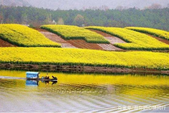清明节放假三天不知道去哪里玩