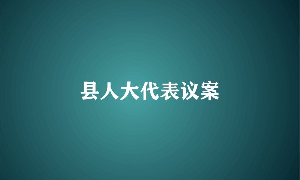 县人大代表议案