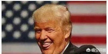 如果特朗普想要解散国会，废除宪法，你认为他应该如何做？