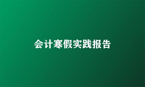 会计寒假实践报告