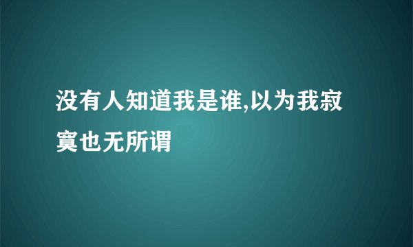 没有人知道我是谁,以为我寂寞也无所谓