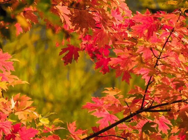 2019十一旅游推荐 十一国庆旅游排名前10最佳去处