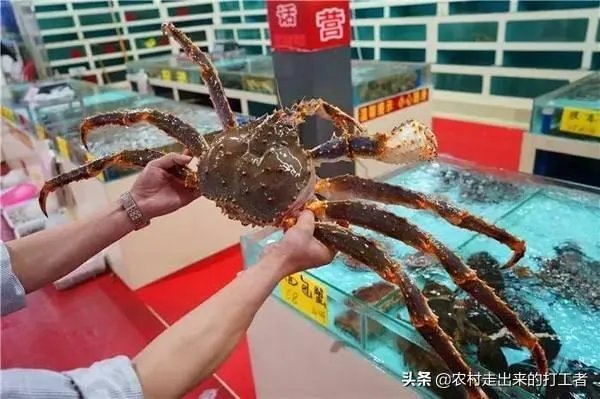 雾鲁木齐的原因