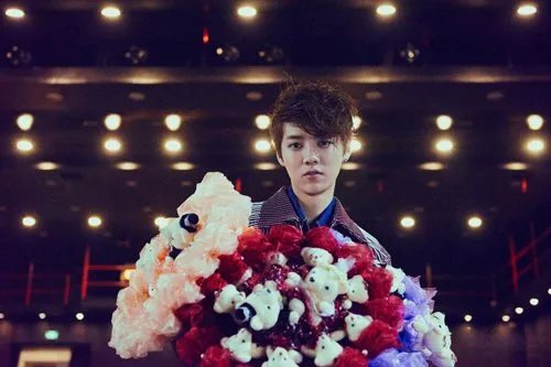 鹿晗七龙珠事件的王梦秋是谁？