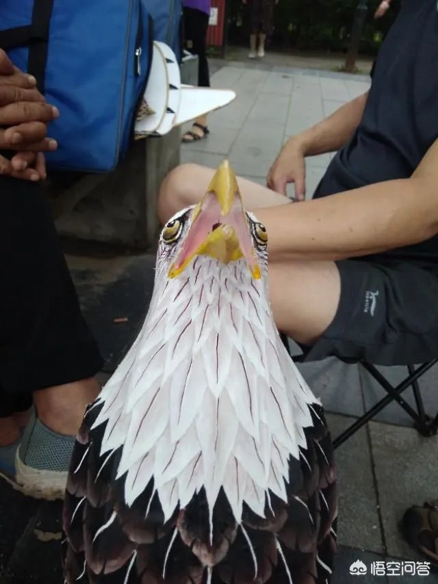 广东深圳环卫工夫妇制止行人丢垃圾遭殴打被赔5000元，你认为环卫工人制止有错吗？